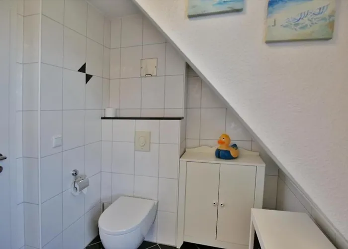 Bernstein, Bs5 Дунен